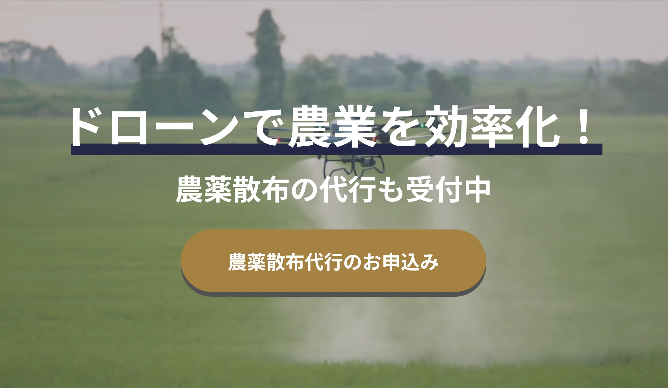 ドローンで農業を効率化！ 農薬散布の代行も受付中 農薬散布代行のお申込み